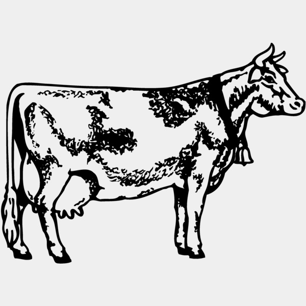 COW031 Thumbnail