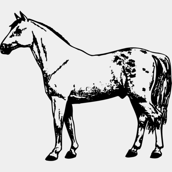 HORSE032 Thumbnail