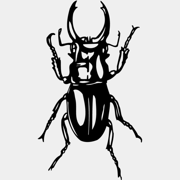 EARWIG Thumbnail