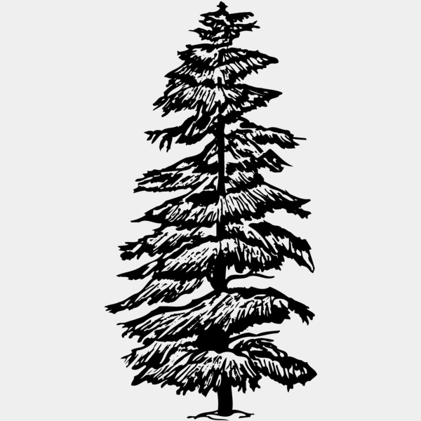 TREE0007 Thumbnail