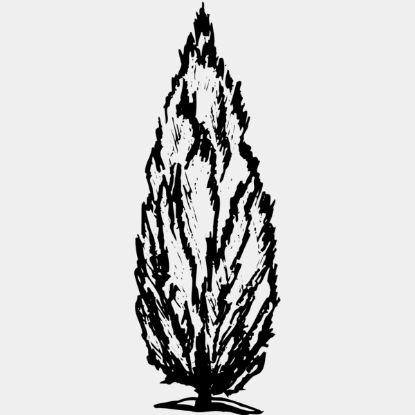TREE0010 Thumbnail