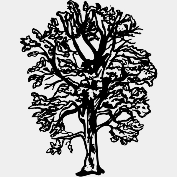 TREE0018 Thumbnail