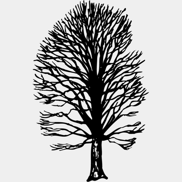 TREE0019 Thumbnail